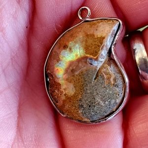 New Wrapped Natural Ammonites Fossil Pendant.
